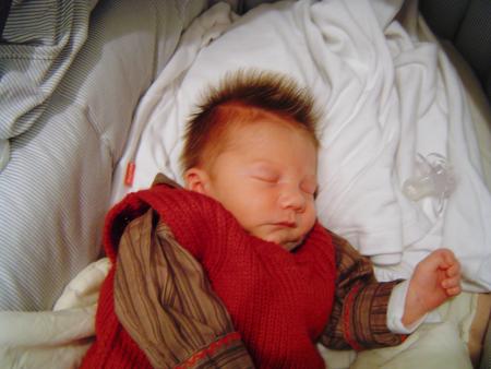 loulou